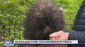 Seattle's Woodland Park Zoo: Membership perks