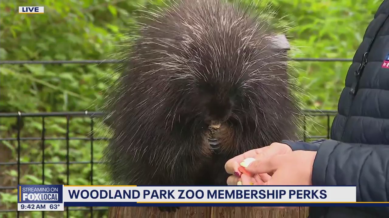 Seattle's Woodland Park Zoo: Membership perks