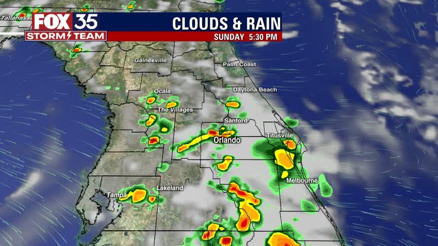 Weather Forecast: August 8