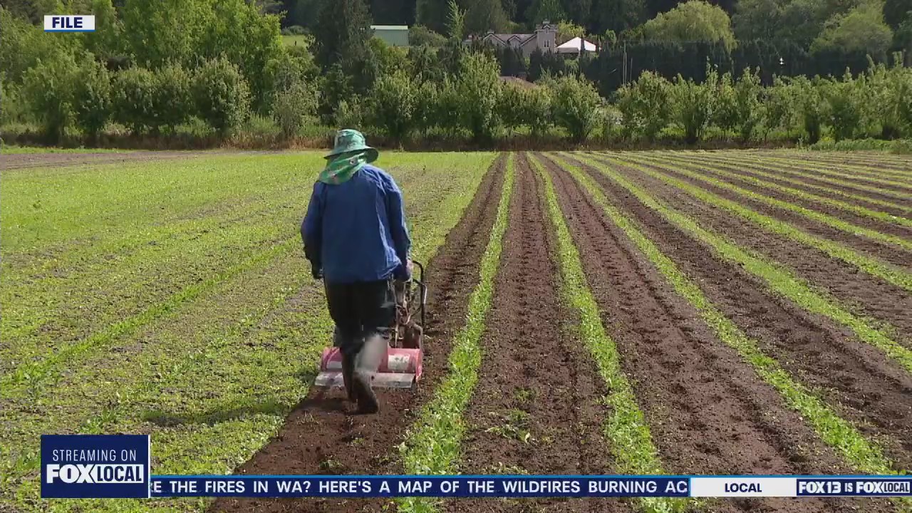 Study shows eastern WA groundwater declining