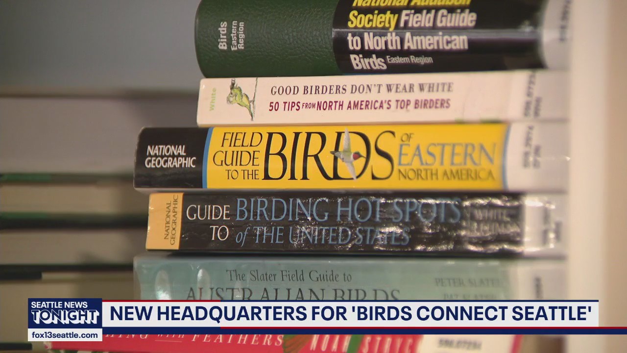 Conservation organization 'Birds Connect Seattle' is relocating its headquarters