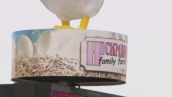 Third Hickman's farm hit by bird flu, 95% chickens lost