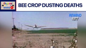 Channel 10 Rewind: 1977 - Pesticide crisis hits AZ | Video Vault