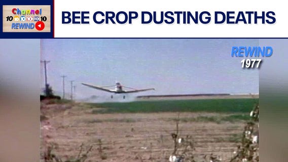 Channel 10 Rewind: 1977 - Pesticide crisis hits AZ | Video Vault