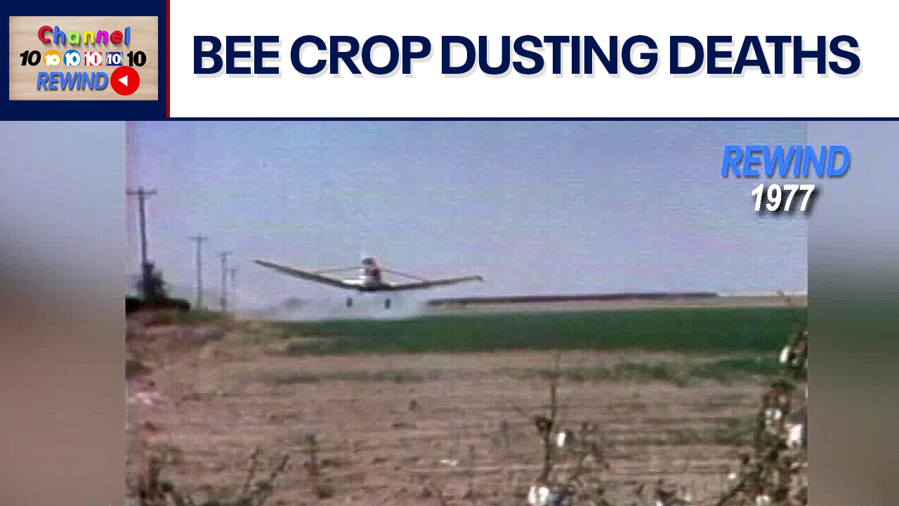 Channel 10 Rewind: 1977 - Pesticide crisis hits AZ | Video Vault