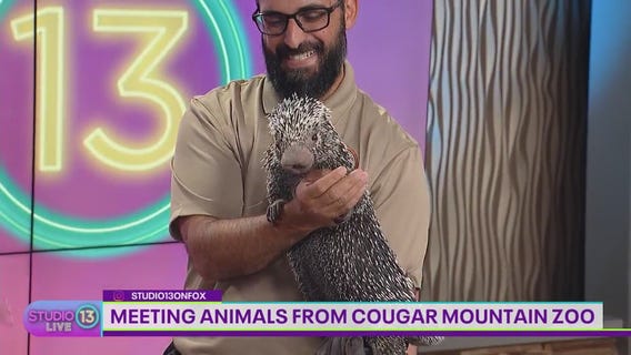 SPONSORED: Up-close encounters with animals at Cougar Mountain Zoo