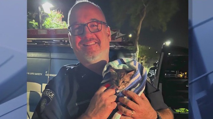 Kitten rescued by officers in Peoria