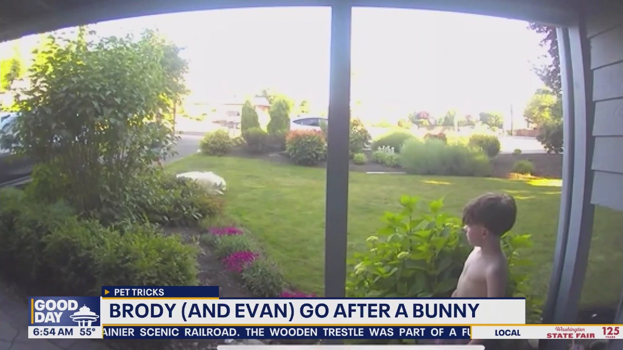 Pet Tricks for Thursday, August 21