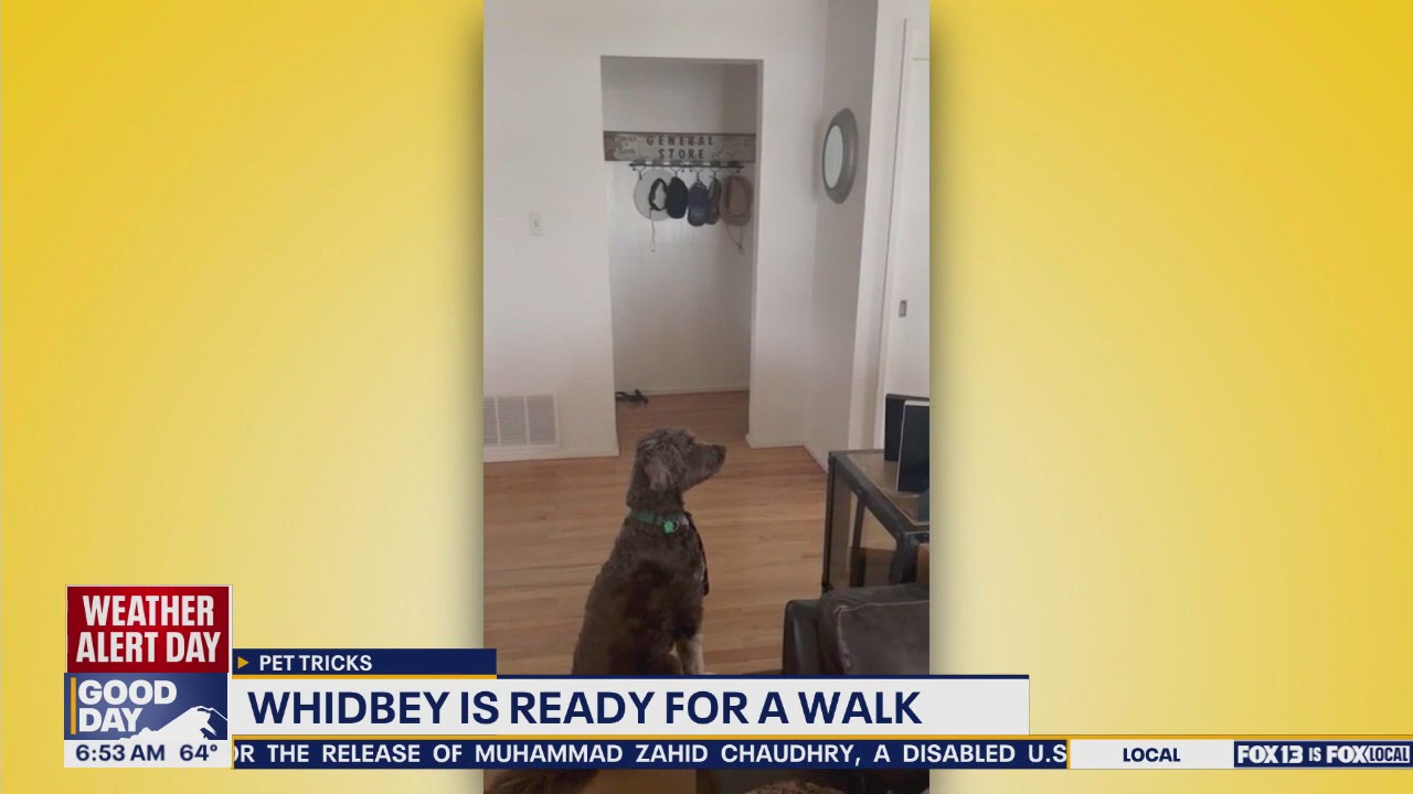 Pet Tricks for Monday, August 25