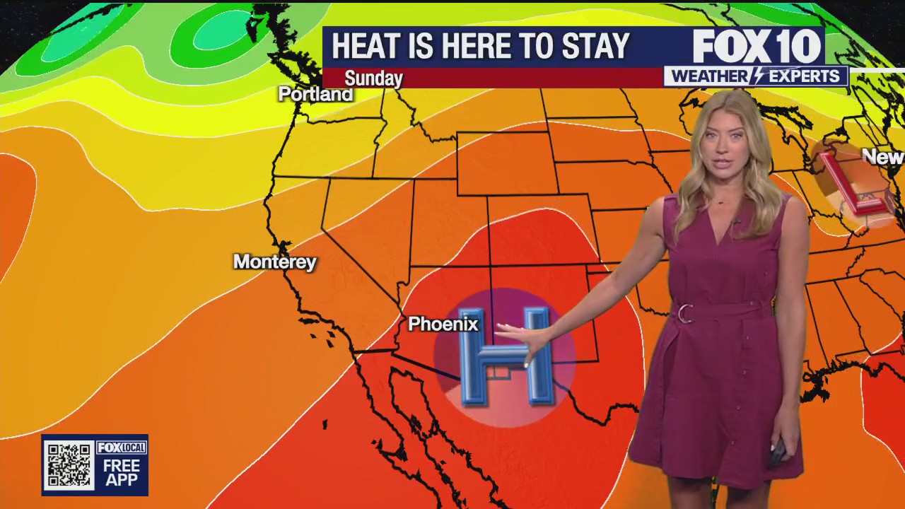 Morning Weather Forecast - 6/11/2025