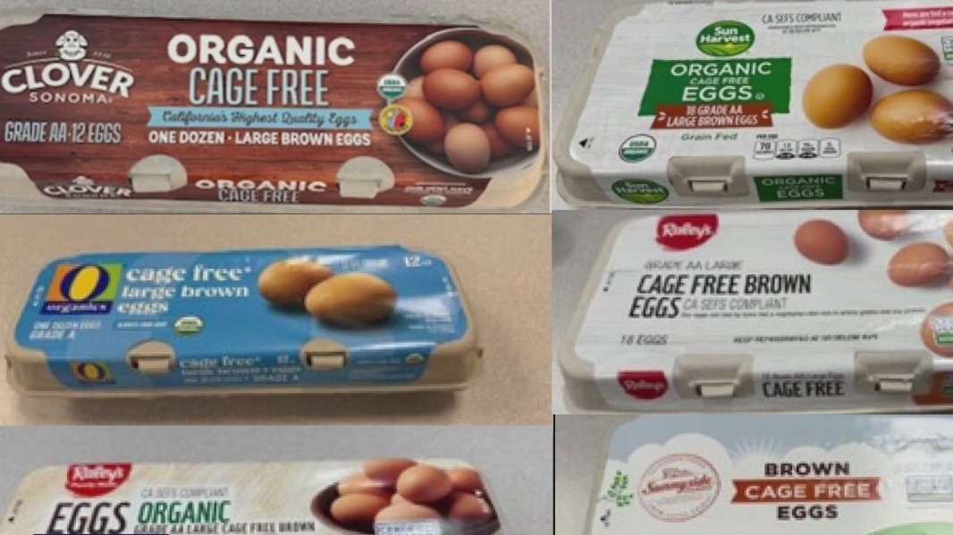 Egg recall impacting prices in Arizona