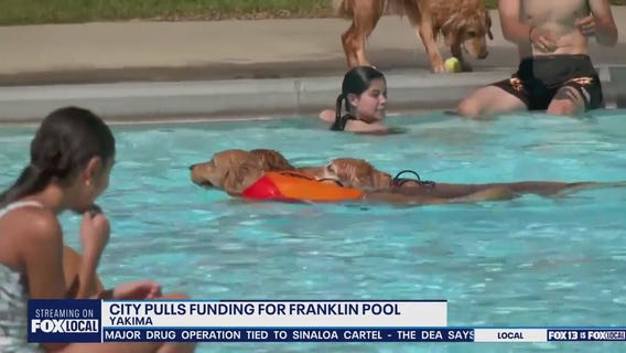 Paws in the Pool at risk as city pulls funding