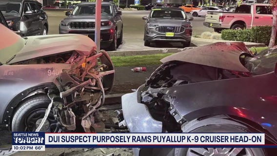 Puyallup police car catches fire after DUI suspect intentionally crashes into It