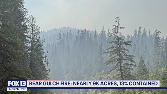 Mason County wildfire continues to burn with little containment