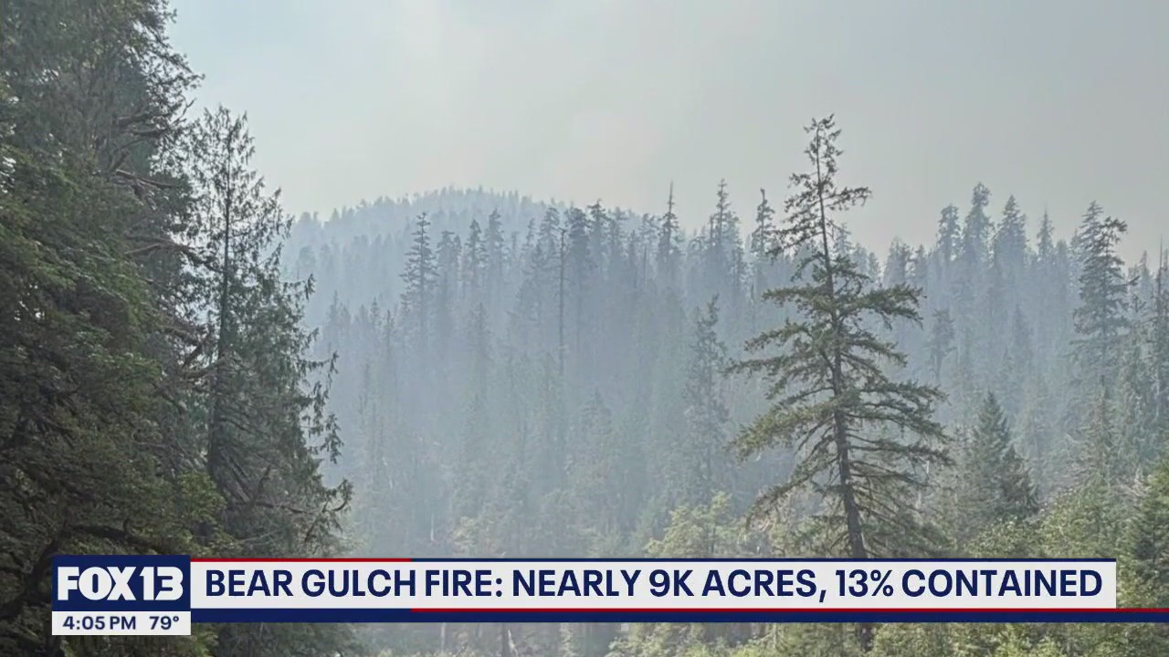 Mason County wildfire continues to burn with little containment