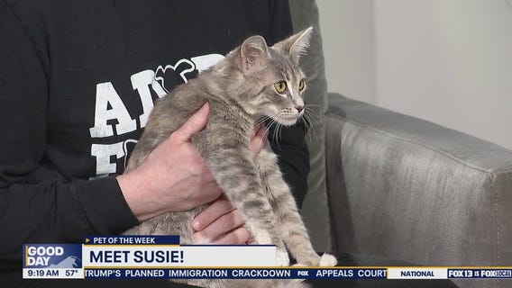Pet of the Week: Meet Susie