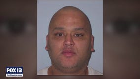 Police arrest convicted rapist mistakenly released on bail