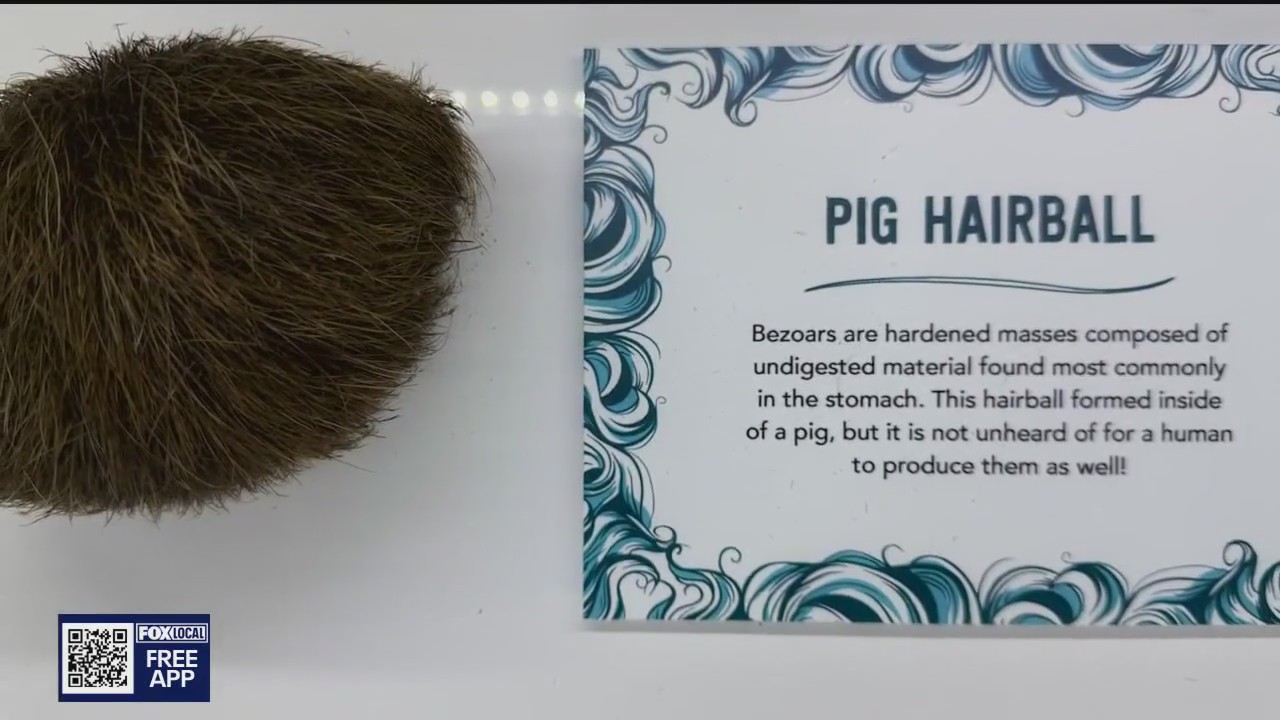 New Ripley's Believe or Not exhibit in the Valley