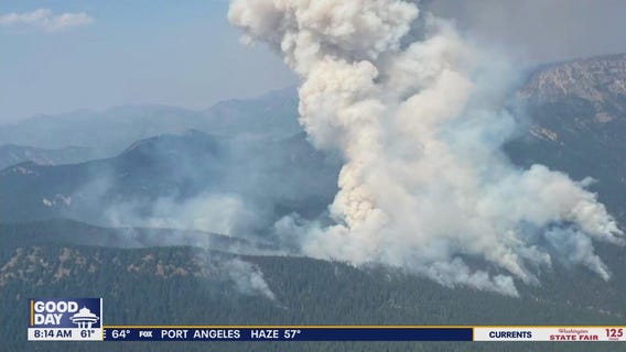Lightning storm sparks several new WA wildfires
