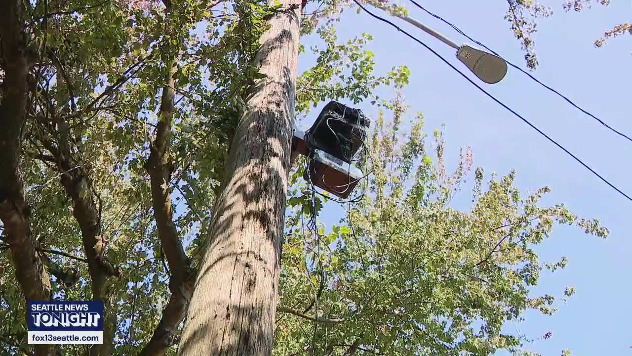 New school speed zone cameras in Seattle