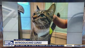Pet of the Week: Luna