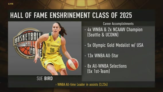 Sue Bird Hall of Fame Red Carpet Interview
