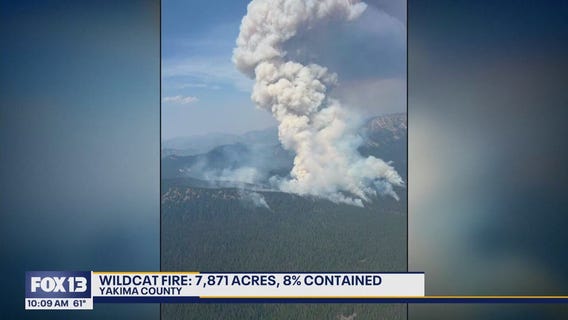 Wildfires burning in WA update