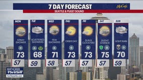 Seattle weather: mostly cloudy with a chance of rain