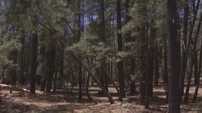 Fire restrictions increasing across Arizona