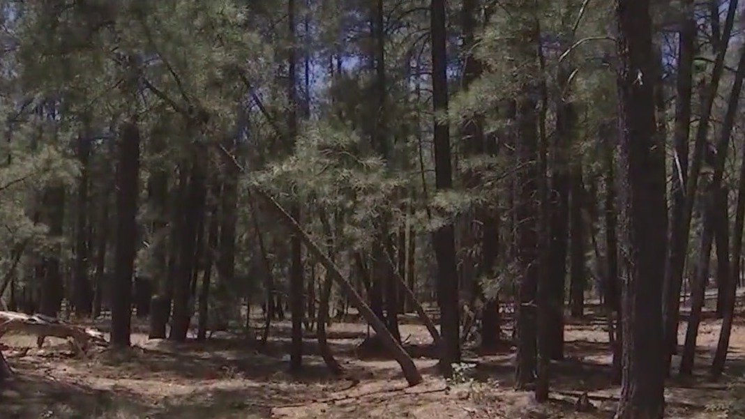 Fire restrictions increasing across Arizona