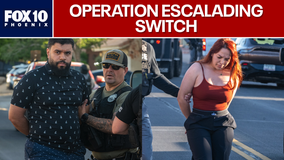 Alleged luxury car theft ring busted in Arizona