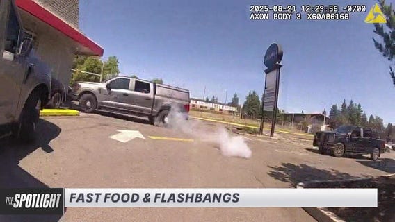 The Spotlight: Kitten killer captured