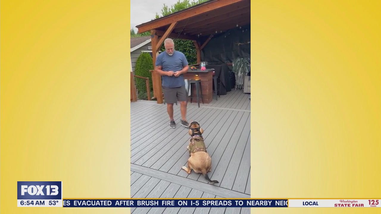 Pet Tricks for Monday, September 15