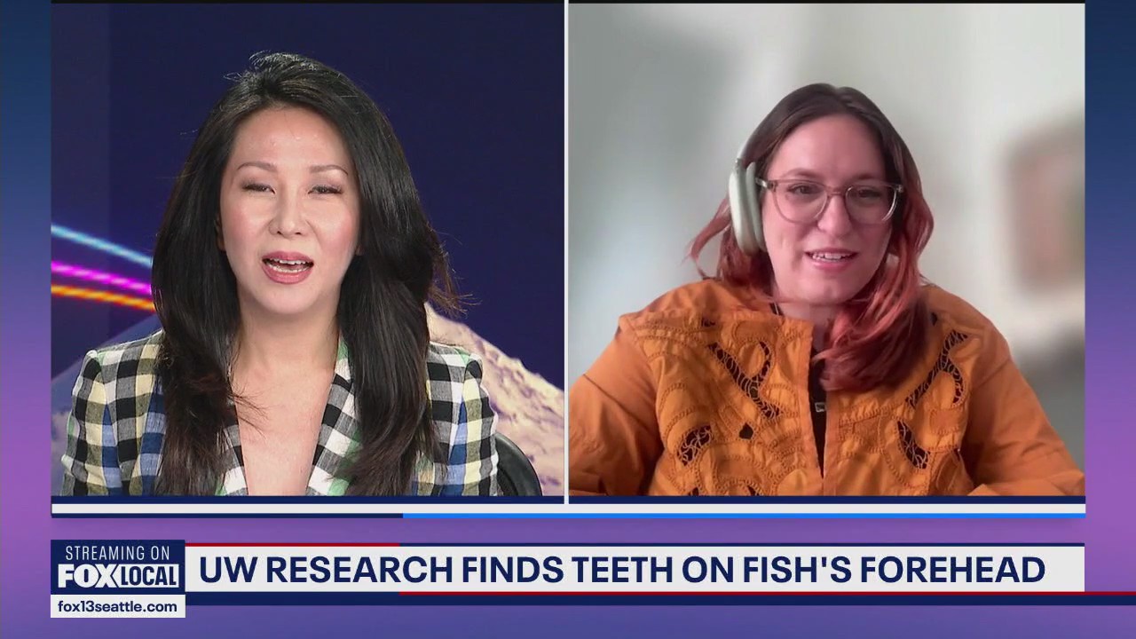 UW study discovers fish with teeth on its forehead