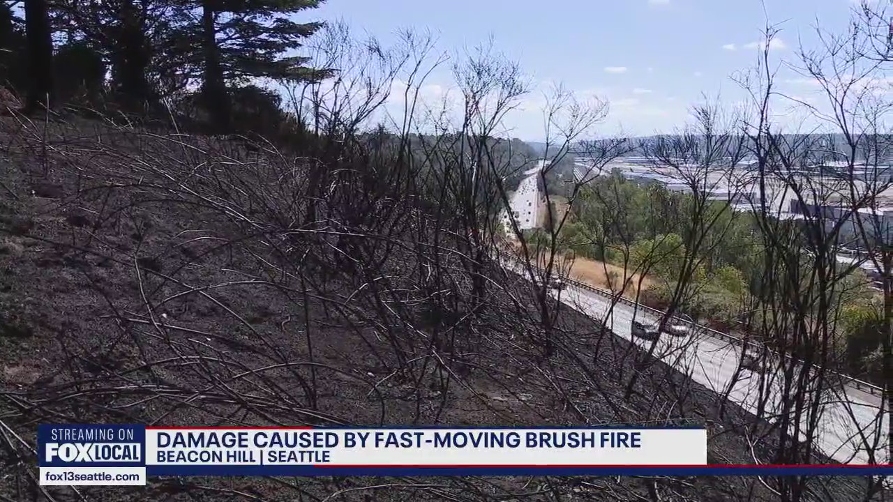 Beacon Hill brush fire leaves multiple homes burned