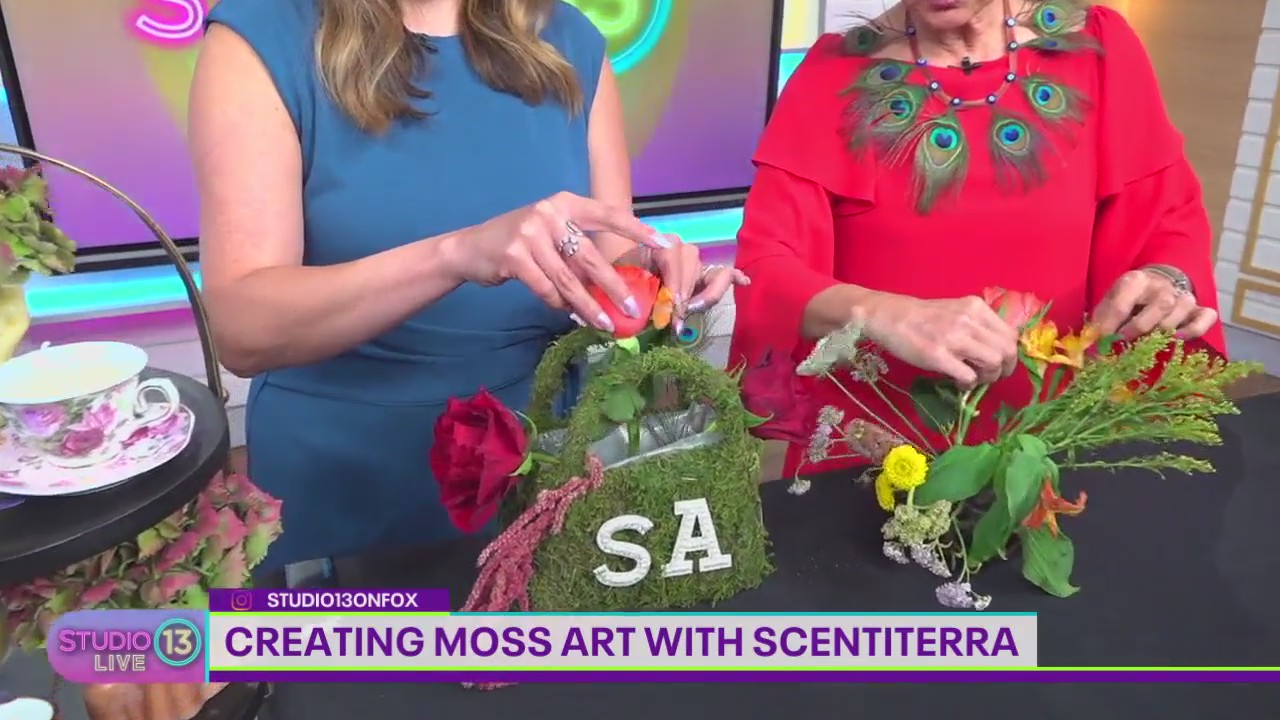 Creating moss art with ScentiTerra