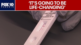 Mayo Clinic, ASU create new valley fever rapid test