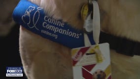 New therapy dog brings comfort to Lake Stevens Middle School students