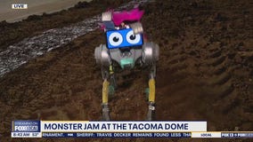 Monster Jam at WA's Tacoma Dome