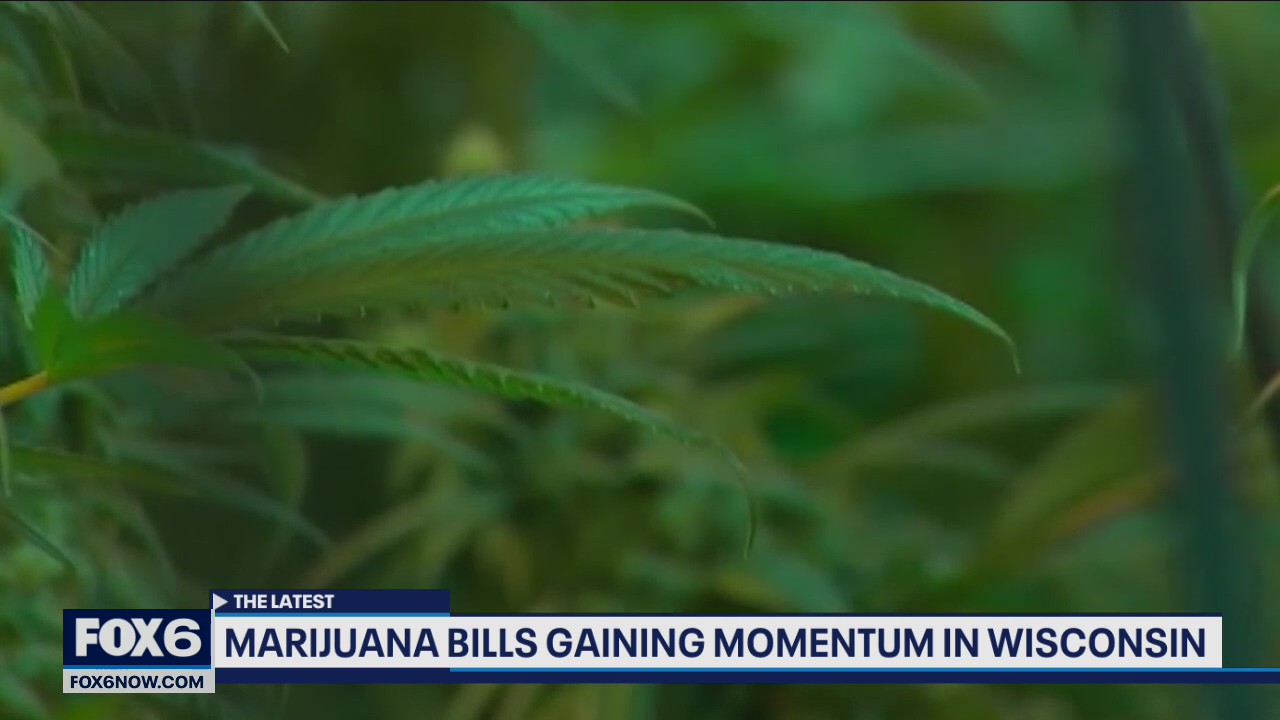 Legalizing marijuana in Wisconsin gaining momentum