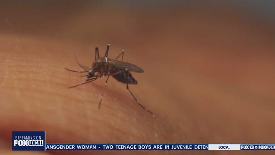 Horse tests positive for West Nile virus in Yakima County