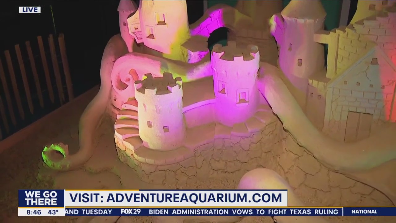 Massive sand sculptures take over at Adventure Aquarium in Camden