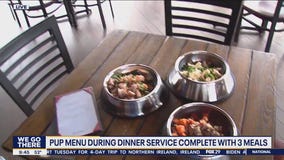 Your pet dogs can dine with you at the Ghost Light Inn