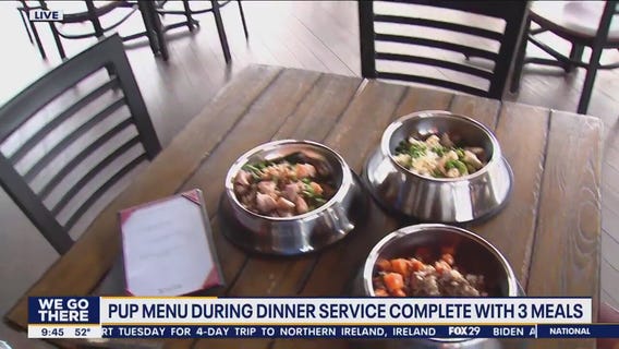 Your pet dogs can dine with you at the Ghost Light Inn