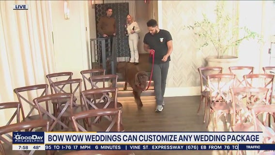 Local company help make pets a hassle-free part of your wedding day