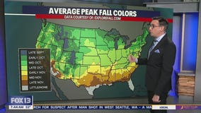 When to see peak fall colors in WA