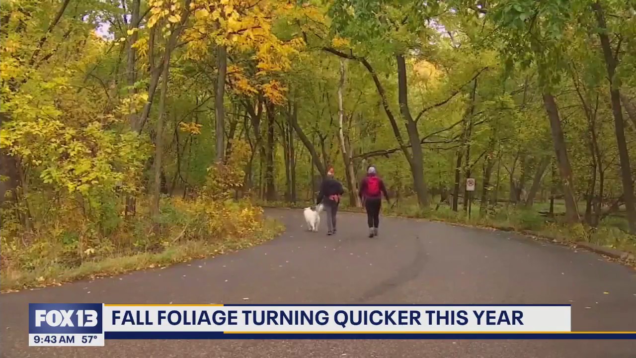 Fall leaves to change sooner this year in the US: Here?s Washington?s timeline