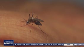 First person in WA infected with West Nile Virus in 2025