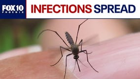 West Nile Virus cases on the rise