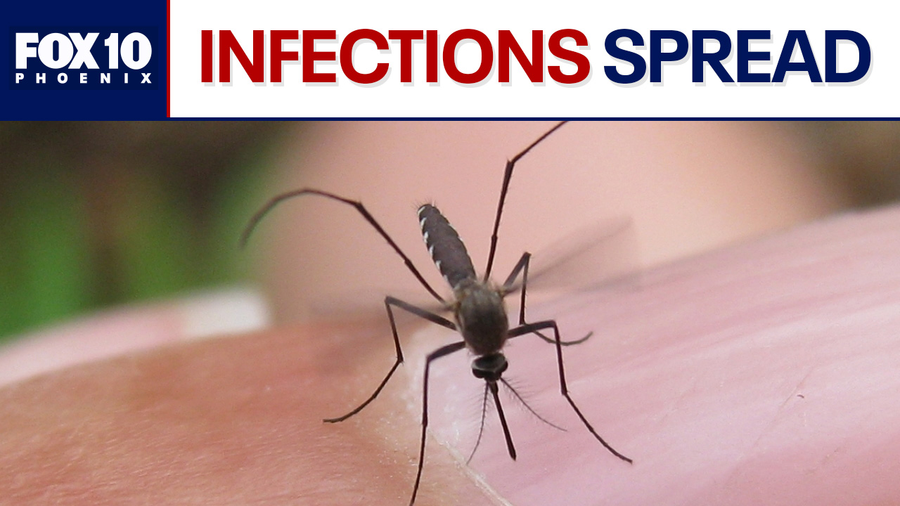 West Nile Virus cases on the rise